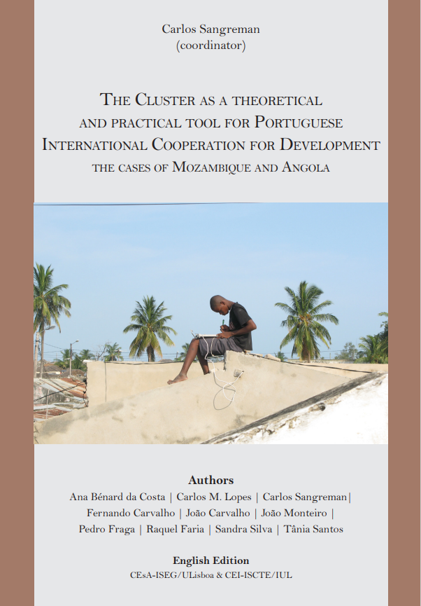 The Cluster as a theoretical and practical tool for Portuguese International Cooperation for Development: the cases of Mozambique and Angola