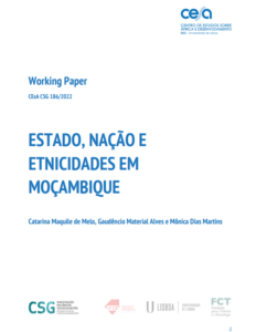 analisa o processo de construção do Estado e da Nação em Moçambique 